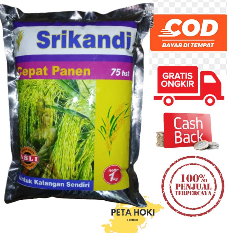 Benih Padi Srikandi bibit padi sri kandi 1 kg