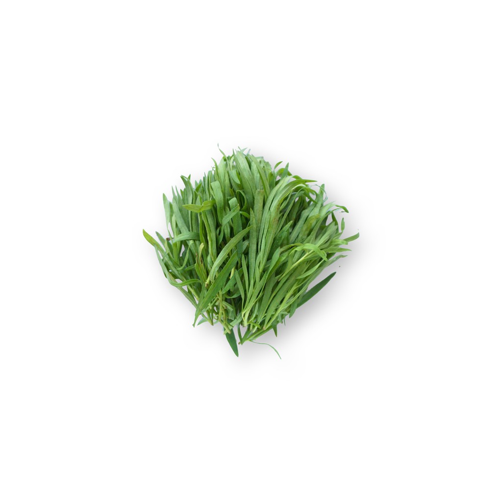 

SAYUR ORGANIK Tarragon