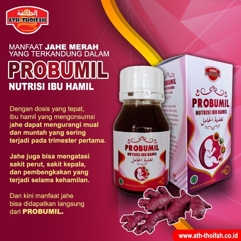 Madu Probumil Nutrisi Ibu Hamil Ath Thoifah