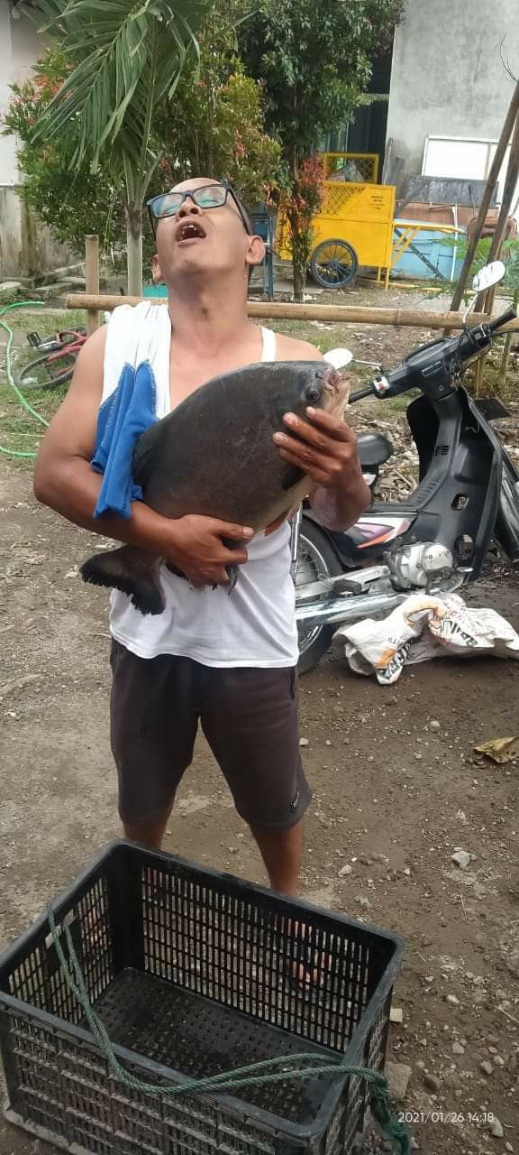 Tabung Tempat Wadah Starlite Fosfor