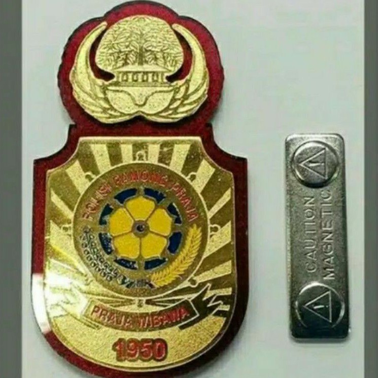 Kewenangan SatPol PP kewanitaan korpri satpol pp