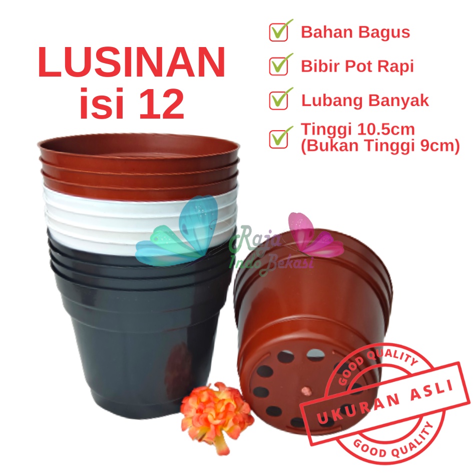 LUSINAN 12PCS Pot 12 Cm Putih Hitam Merah Bata Merah Coklat Terracota Terracotta - Pot 12 Hitam Kecil Mini Minimalis Plastik Kaktus Sukulen Mini Murah Pot Bibit Pembibitan