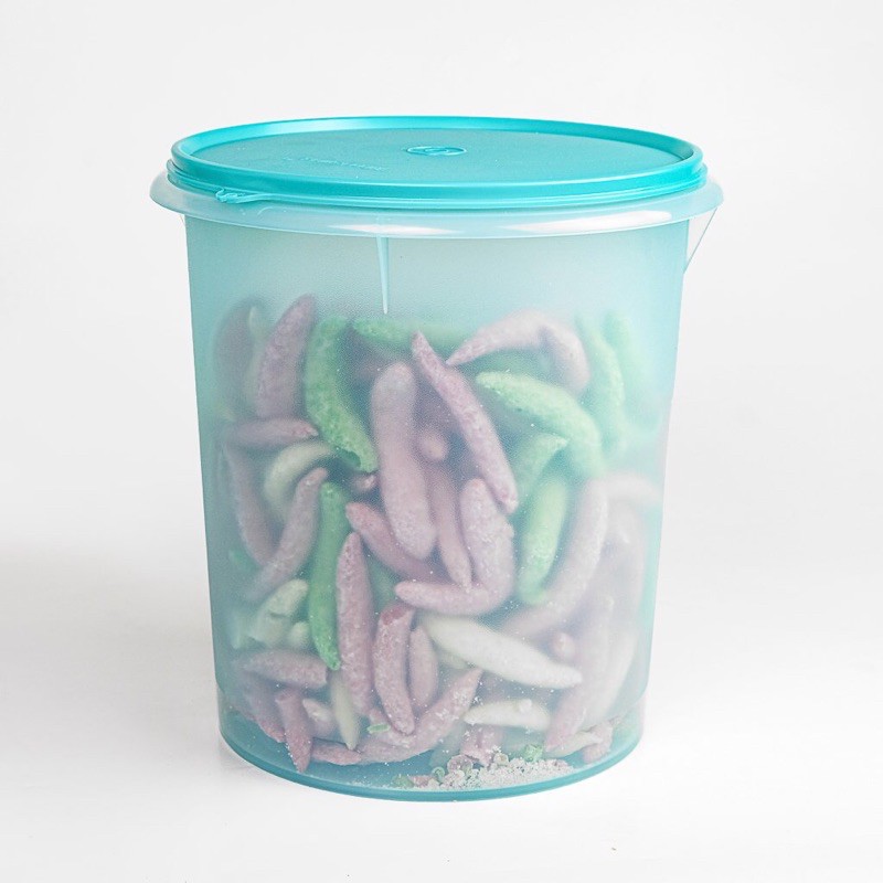 tupperware giant canister 8,4ltr