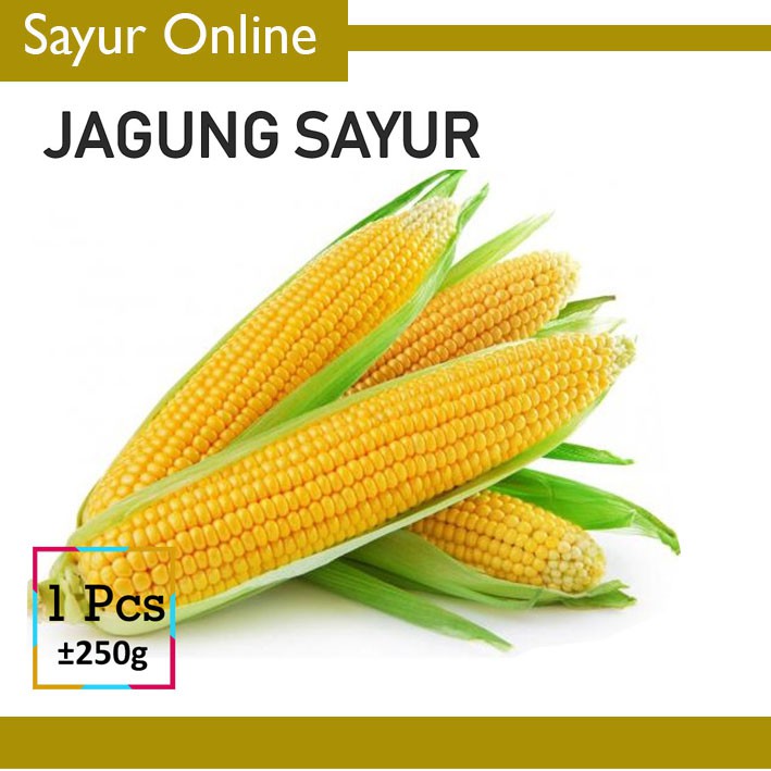 

JAGUNG MANIS - SAYUR [1 Buah ]