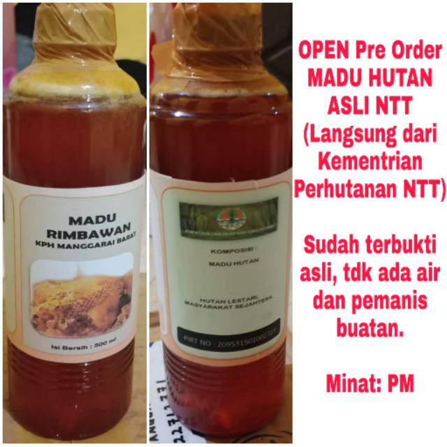 

MADU HUTAN ASLI MANGGARAI