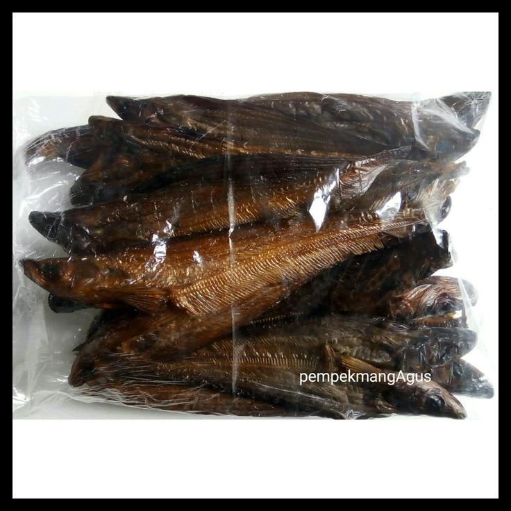 

DISKON TERBATAS !!! IKAN SALAI LAIS (LAIS ASAP) TERLARIS