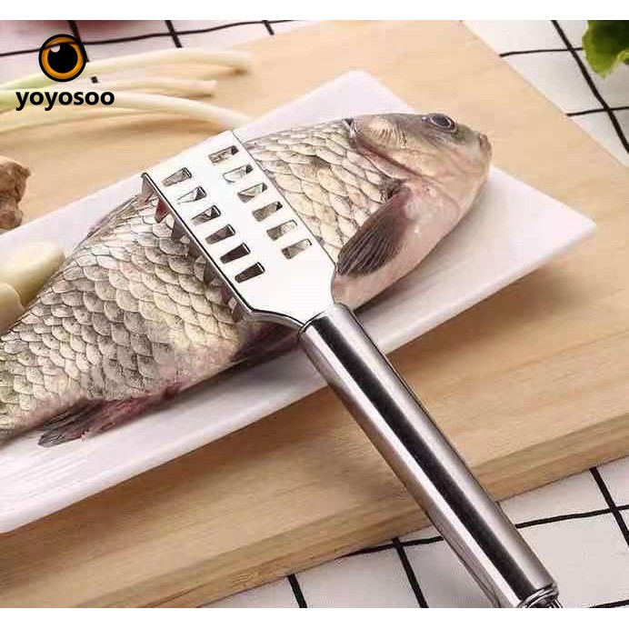 Pembersih Sisik Ikan PLASTIK / Stainless Serutan Pisau Sisik Ikan  yoyosoo