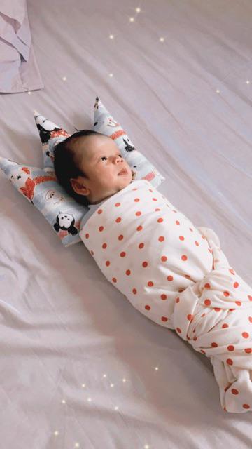 Sprei Hotel Polos Warna Katun 160/180/200x200x30cm