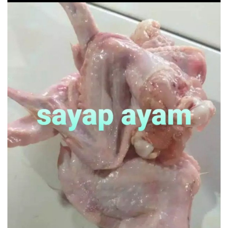 

SAYAP AYAM SEGAR/500 GRM