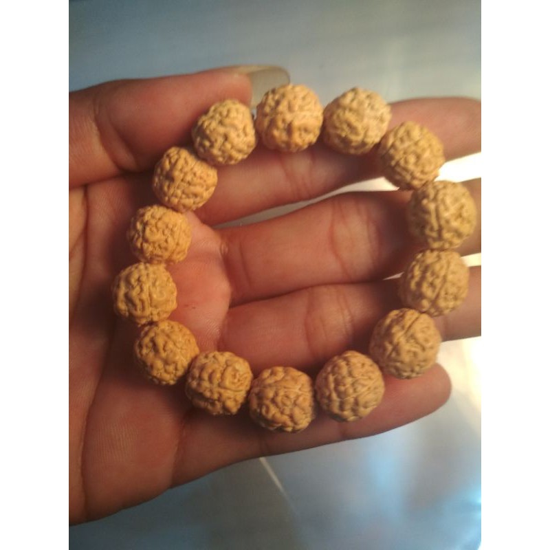 gelang jenitri rudraksha original