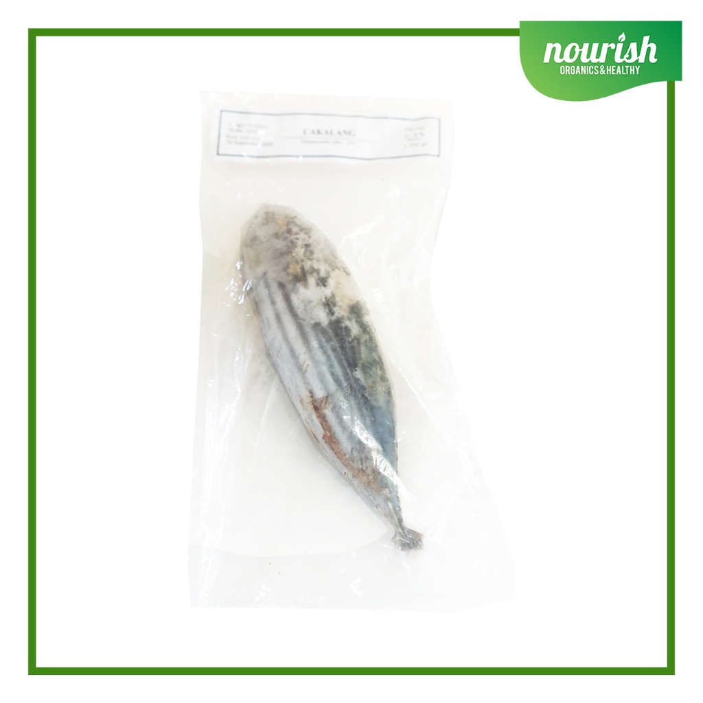 

Ikan Cakalang Utuh Frozen 350 gr-Jkut