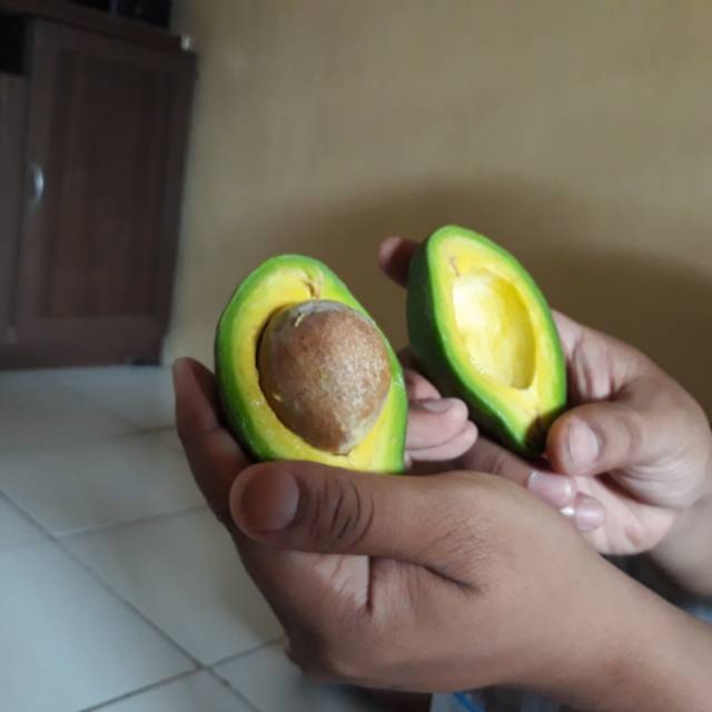 

Alpukat Mentega sekilo isi 6-7pcs