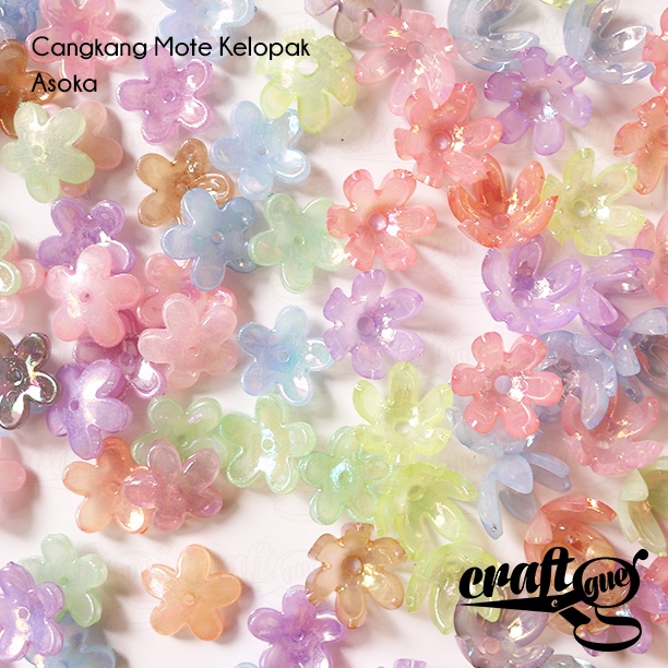 Cangkang Mote Kelopak Asoka