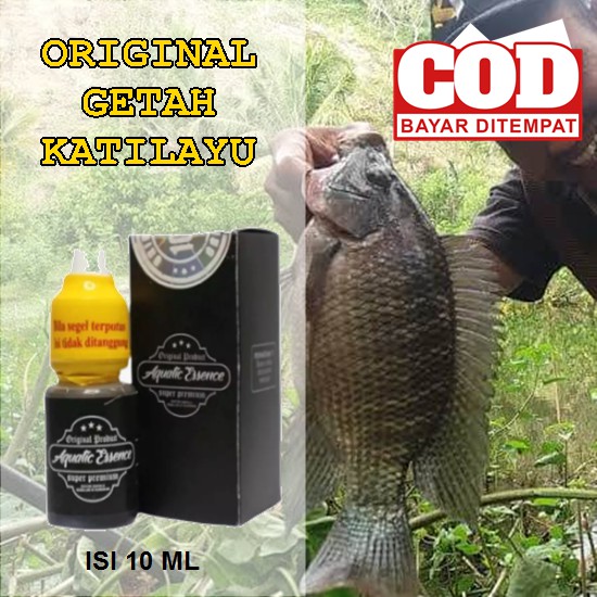 Essen Katilayu Original Ikan Nila Liar - Air Keruh - Media Lumut - Bagus Disegala Cuaca