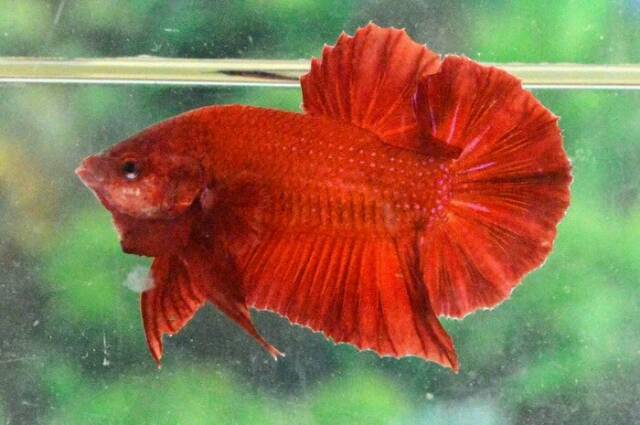 Shopee Indonesia Jual Beli Di Ponsel Dan Online