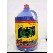 B1 Thailand original 4ltr
