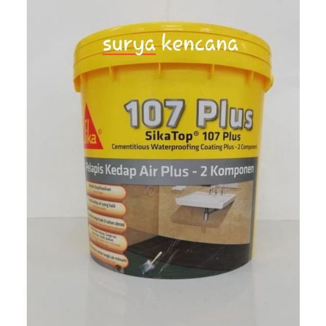 SIKA top 107 plus 4kg