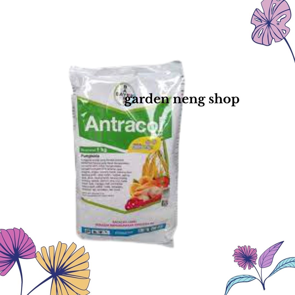 FUNGISIDA ANTRACOL 70 WP 250 GRAM GR OBAT TANAMAN JAMUR UNTUK ANGGREK DAN TANAMAN LAIN
.