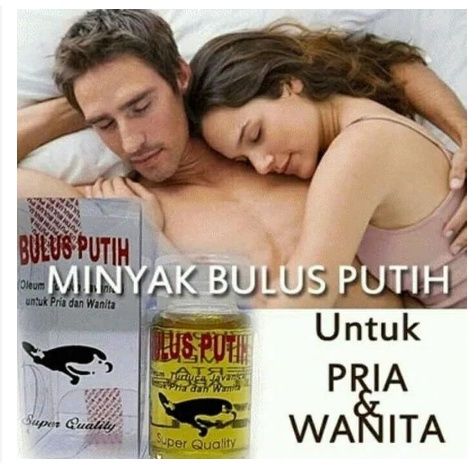 MINYAK BULUS PUTIH EYANG LAUT / OBAT HERBAL OLES URUT PENGENCANG PEMBESAR PAYUDARAH & ORGAN PRIA & J