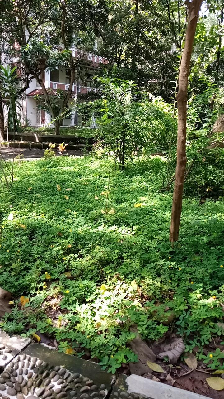 Handuk Matahari I Warna Random