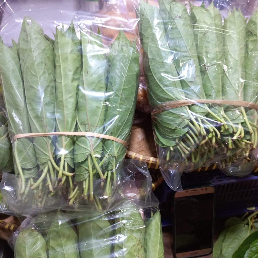 

Sirih Medan 1lepit