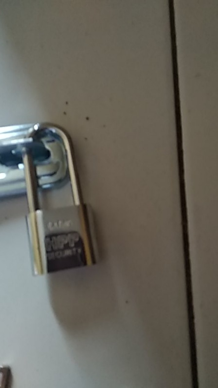 Overval Bulat Sby Ukuran 3