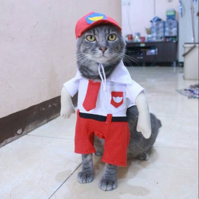 Kostum anak sekolah SD untuk kucing dan anjing lucu baju kucing murah size S M L XL