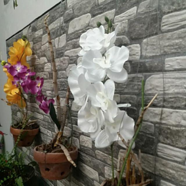 Anggrek Bulan Artificial Jumbo