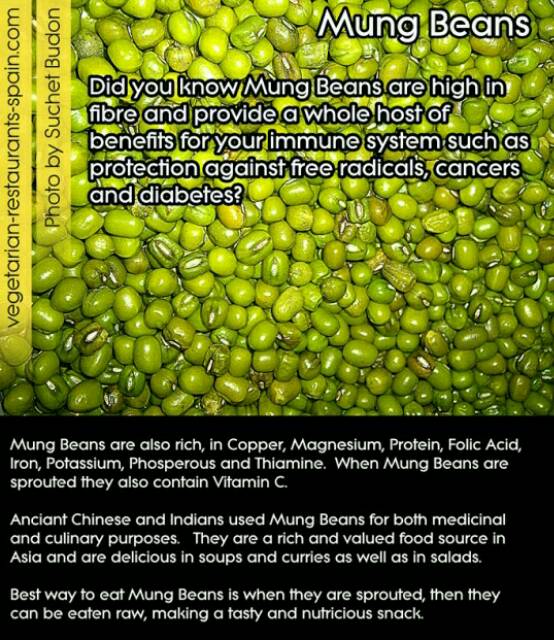 Tepung Kacang Hijau Gluten Free High Protein Mpasi Shopee Indonesia