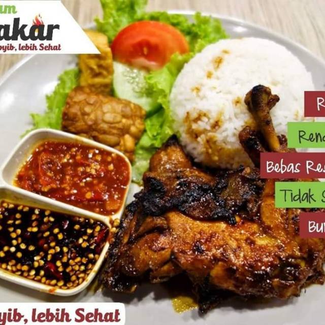 

AYAM BAKAR ORGANIK