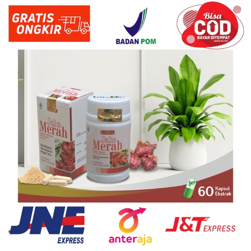 

Pereda Nyeri Sendi dan Pereda Nyeri Haid Menstruasi Jahe Merah Herbal Tazakka Isi 60 Suplemen Kesehatan Anti Mual Obat Batuk BPOM