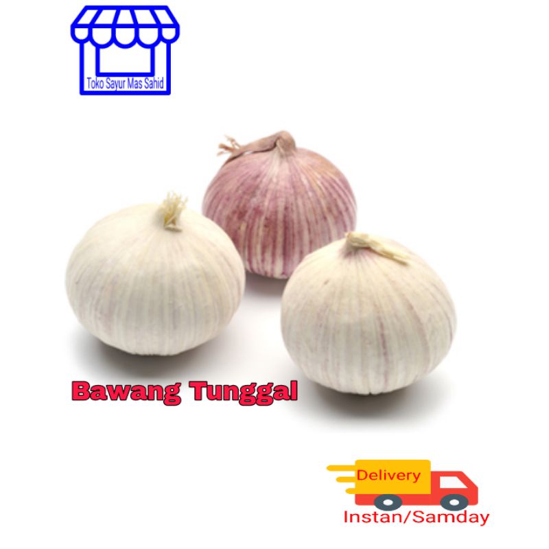 

Bawang Tunggal Bawang Lanang 100 gram