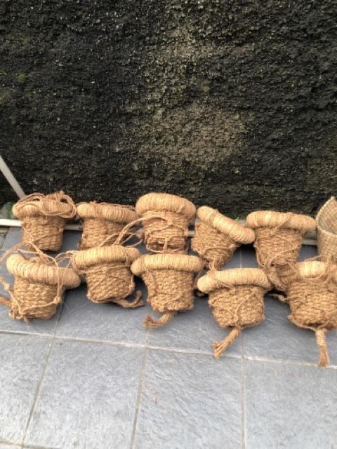 Pot Gantung Pot Serabut Kelapa Sabut Kelapa Pot Anggrek E