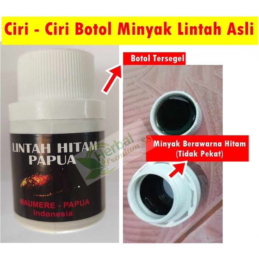 Minyak Pembesar Penis Obat Pembesar Kelamin Pria Pembesar Alat Vital laki laki minyak lintah papua