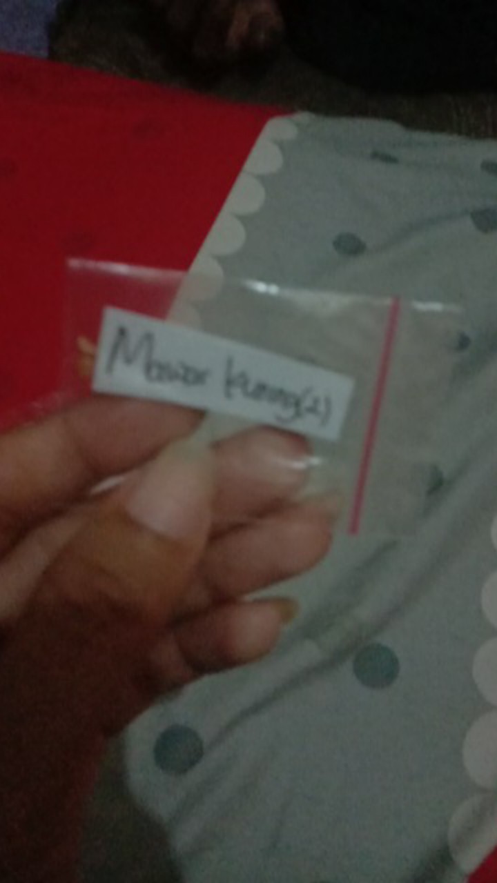 (benih) Biji Bunga Mawar Kuning Cantik Langka