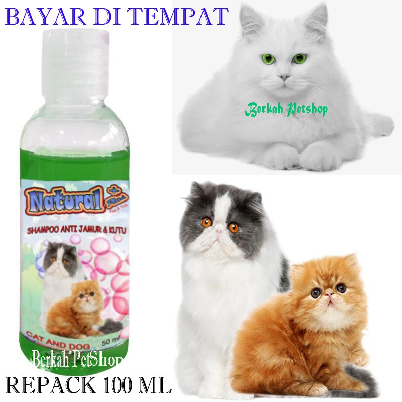 100ml shampo kucing wangi anti kutu jamur kucing