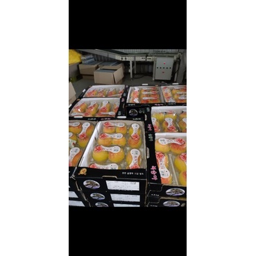 

Buah Peach KOREA Fresh Import isi 6pack