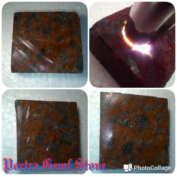 RED PAPUA HARGA MURAH !!!