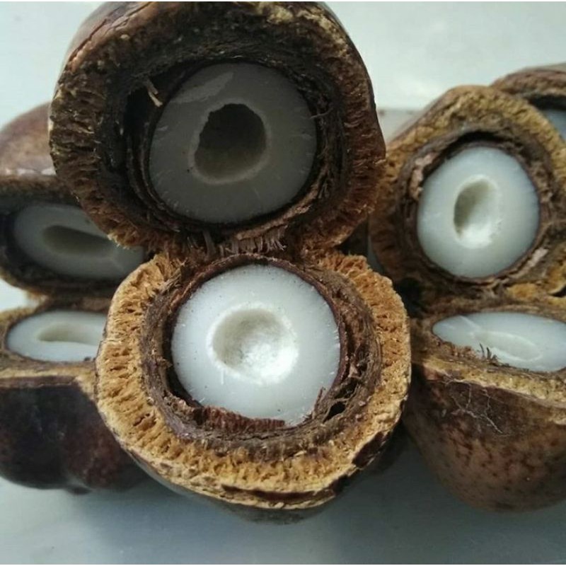 

BuahZuriat