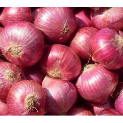 

Bawang Merah Brebes Premium murah Bandung