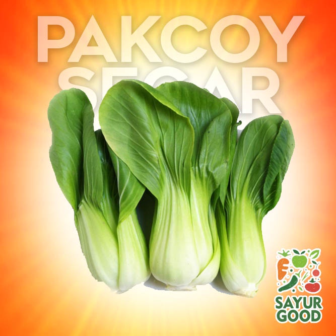 

Baby Pakcoy / Pakcoy Kecil / Pakcoy Baby Segar 250 gram ( Sayur Segar)