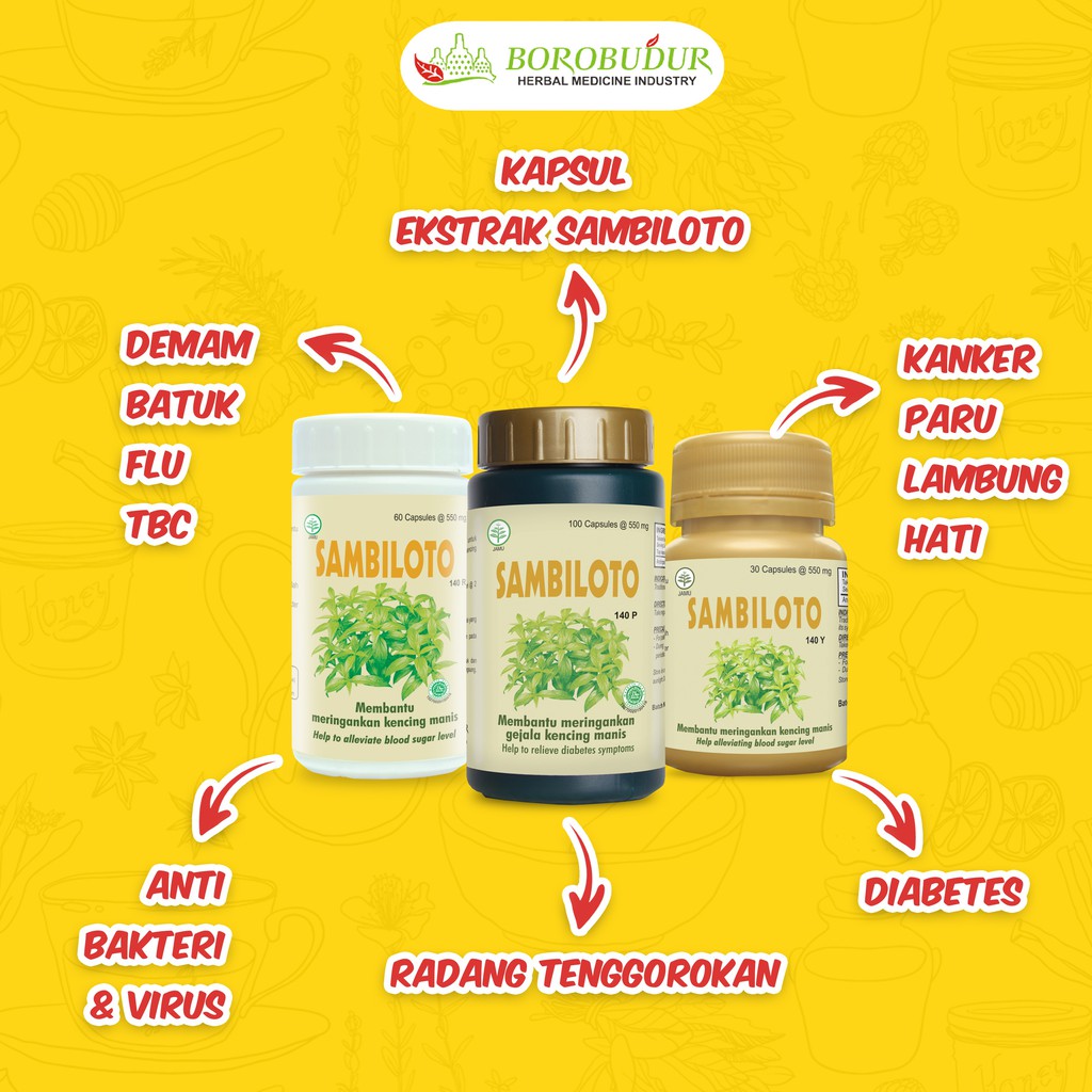

Borubudur - Sambiloto || Meringankan Kencing Manis Pada Penderita Diabetes