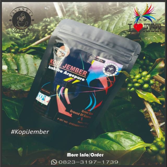 

KOPI JEMBER Arabika Argopuro Jember