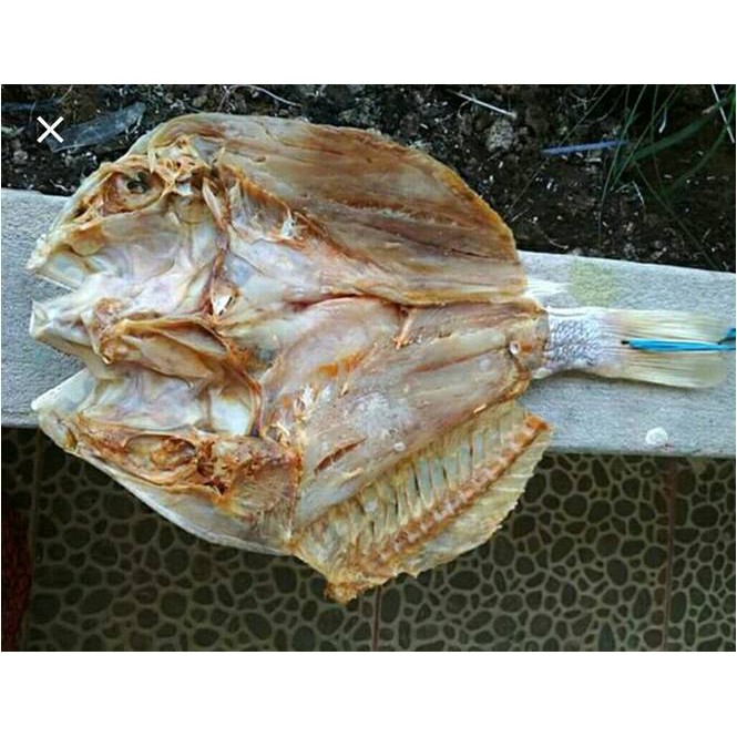 

Ikan Asin Kakap ( @ 500 Gr )