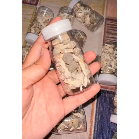 jamu mpot putih ORIGINAL asli madura