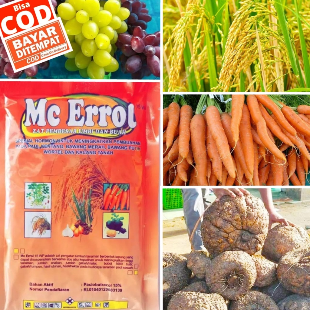 PUPUK PEMBESAR UMBI , MC ERROL 100 GRAM , ZAT PEMBESAR UMBI & BUAH , BOOSTER UMBI, BOOSTER PORANG, P