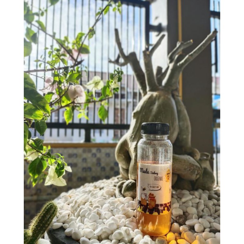 

Madu Lebah Asli murni kesehatan kecantikan tubuh minuman bernutrisi hutan sialang honey riau 100%