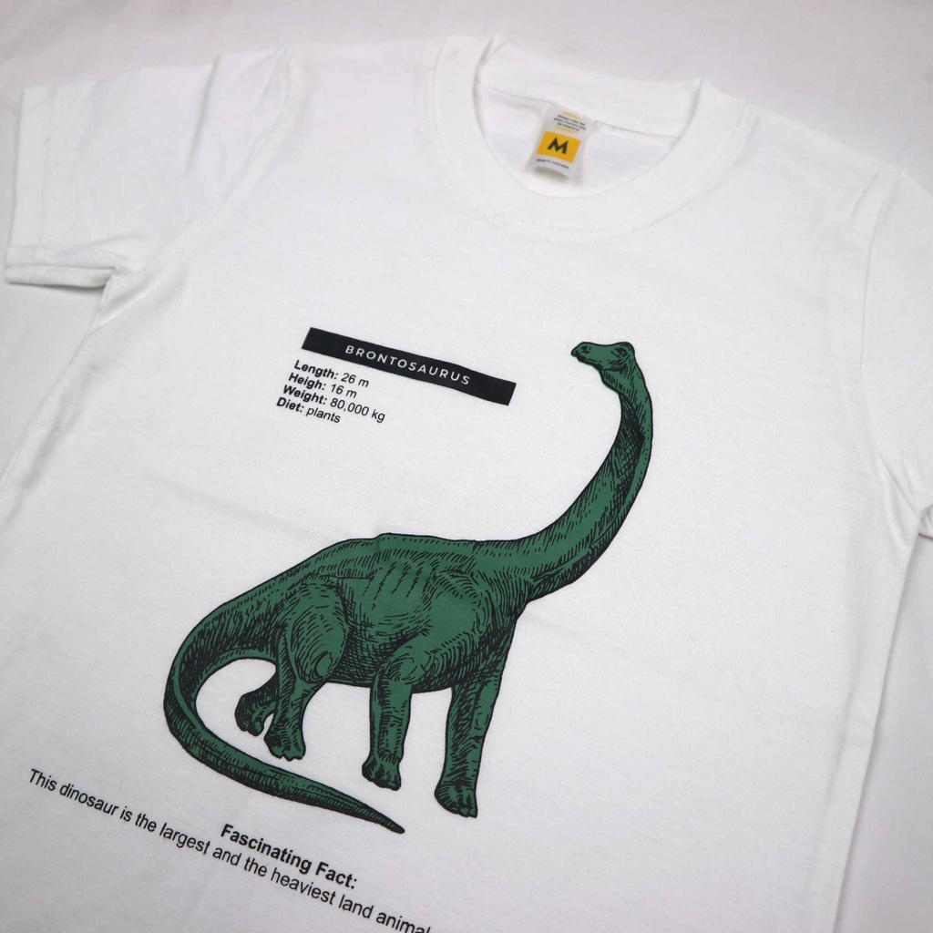 KAOS ANAK DINO FACTS SERIES 1 - 10 T