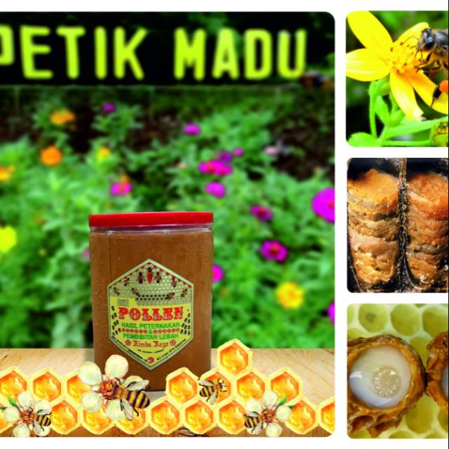 

Madu Bee Pollen Anti Aging 600gram kemasan toples plastik