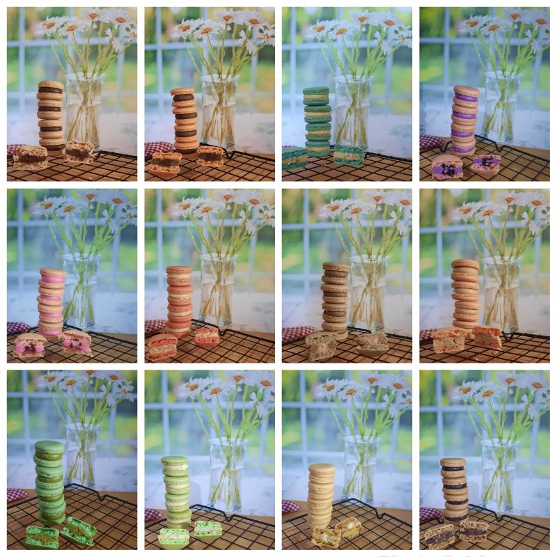 

Macaron Premium Reguler Polos 4cm / Cookies / Kue Kering / Macarons Enak